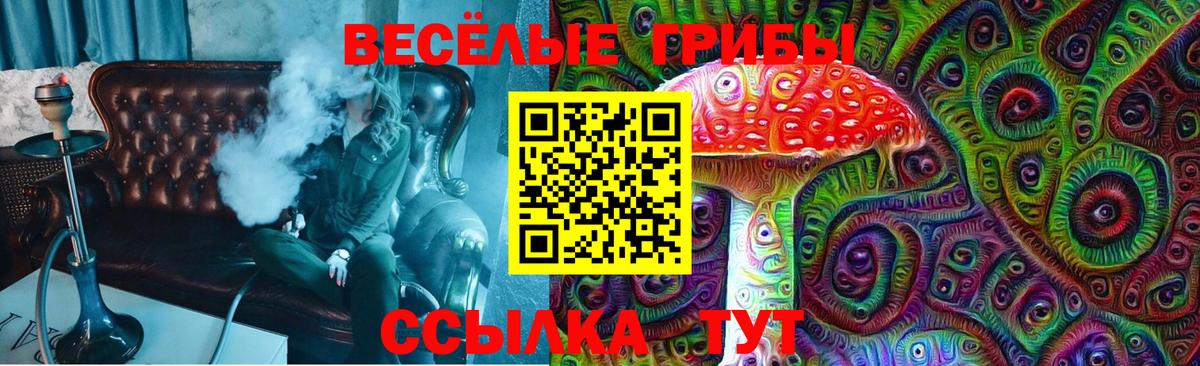 Воткинск  Галлюциногенные грибы Psilocybe  Вход с VPN 